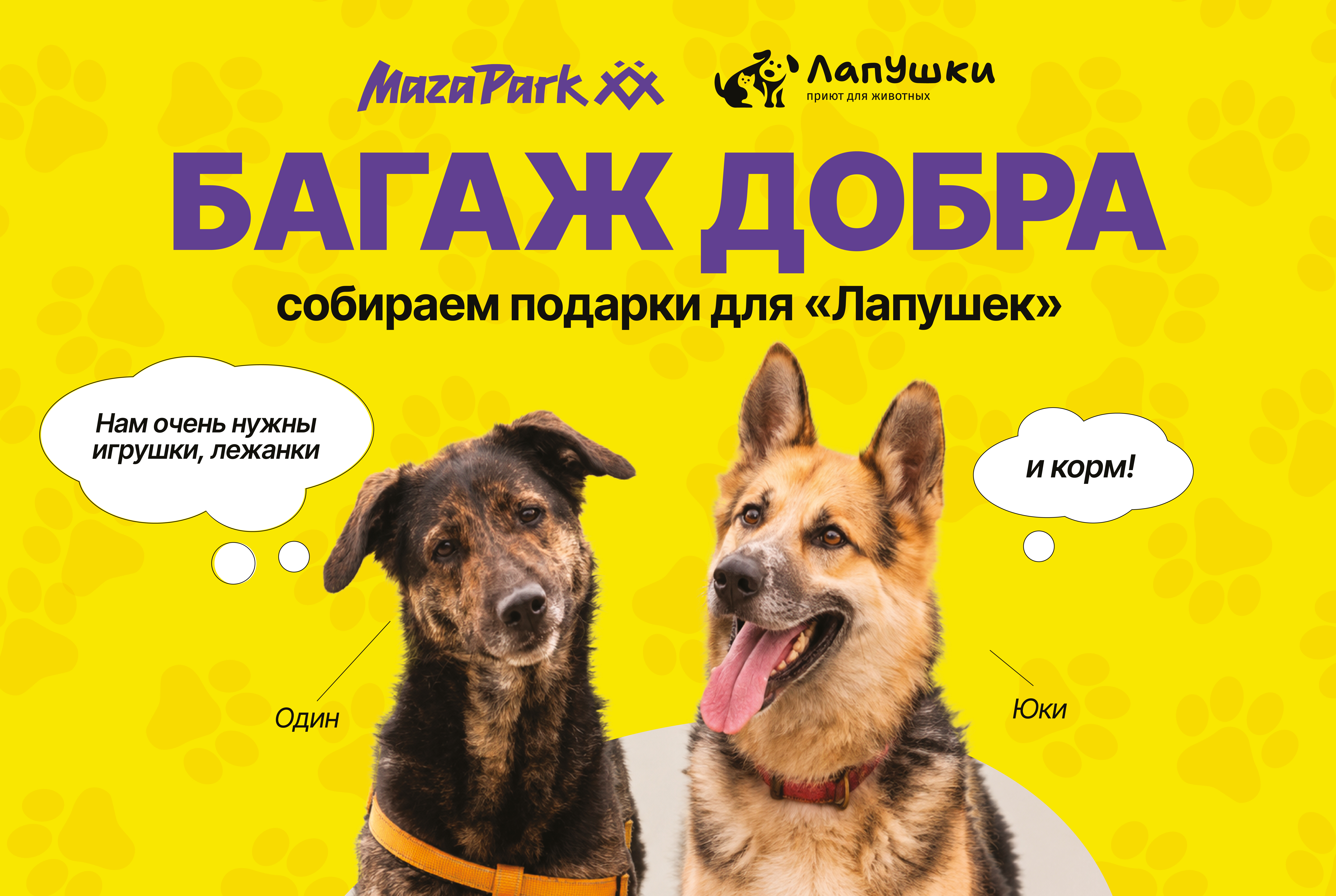 Багаж добра